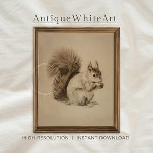 May include: A sepia-toned framed print featuring a detailed pencil drawing of a squirrel holding a nut. The squirrel has a fluffy tail and is set against a neutral background. The frame is a warm gold color. Text at the top reads "Antique White Art" and at the bottom "HIGH-RESOLUTION | INSTANT DOWNLOAD".