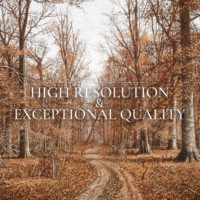 May include: An autumnal forest scene with a dirt path winding through the trees. The image features a palette of browns and oranges, with text that reads "HIGH RESOLUTION & EXCEPTIONAL QUALITY."