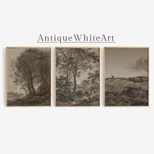 May include: Set of three framed landscape art prints in sepia tones. The prints depict trees, fields, and a windmill. The text "Antique White Art" is displayed above the prints.