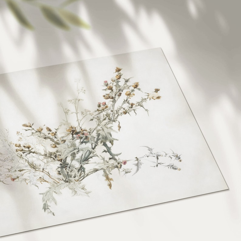 K&ouml;nnte beinhalten: Ein Aquarellbild einer zarten, hellgr&uuml;nen und braunen Distelpflanze mit rosa Bl&uuml;ten. Die Pflanze ist realistisch dargestellt, mit filigranen Details der Bl&auml;tter und Dornen.