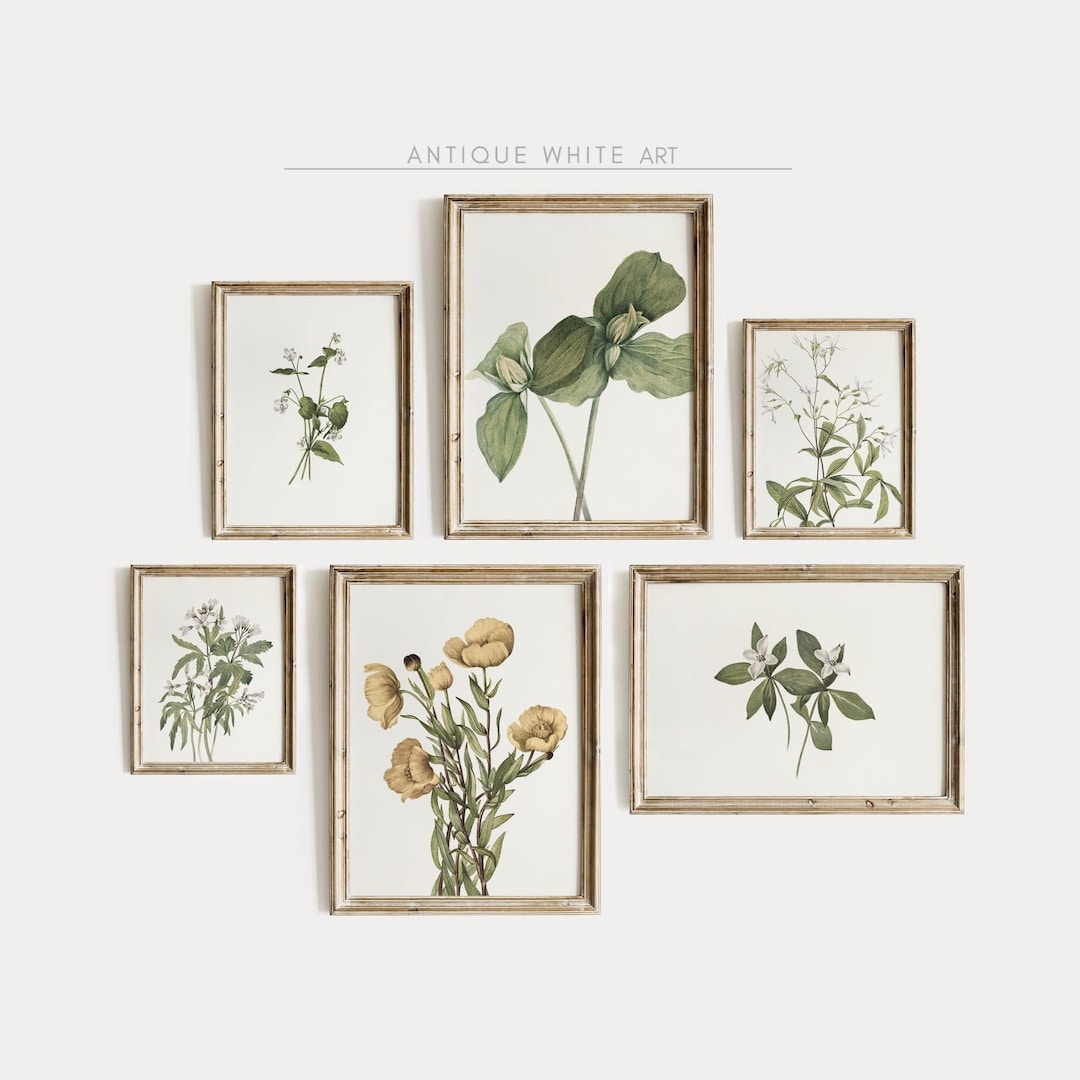 Vintage Botanical Print Set of 6, Antique Neutral Flower Gallery Wall ...