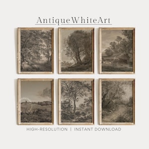 Puede incluir: Seis grabados de paisajes enmarcados en tonos sepia. Cada grabado representa una escena rural diferente con árboles, campos y un molino de viento. El texto "Antique White Art" y "High-Resolution | Instant Download" son visibles.