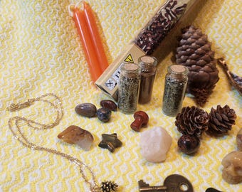 Vitality & Grounding Spell Kit for Renewal, Strength, and Stability with Pinecones and Clove