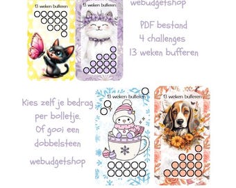 13 semanas de almacenamiento en búfer de archivos PDF: desafío A6