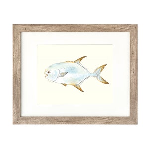 11x14 PERMIT, Fish, tropical fish, fish painting, fly fishing, ocean fish, digital print, download, permit painting, 11x14, art print