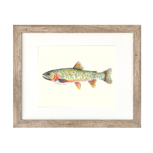 8x10 CUTTHROAT TROUT, Freshwater fish, fish painting, fly fishing, river fish, digital print, download, trout painting, 11x14, art print