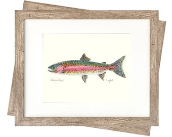 11x14 SET OF 5 TROUT Prints, Freshwater fish, fish painting, fly fishing, digital print, download, trout painting, 11x14, art print