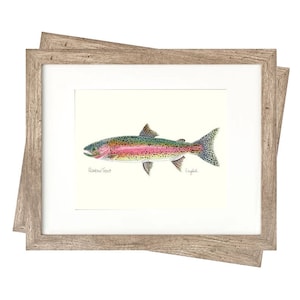 8x10 SET OF 5 TROUT Prints, Freshwater fish, fish painting, fly fishing, digital print, download, trout painting, art print