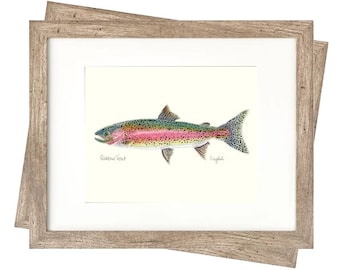 8x10 SET OF 5 TROUT Prints, Freshwater fish, fish painting, fly fishing, digital print, download, trout painting, art print