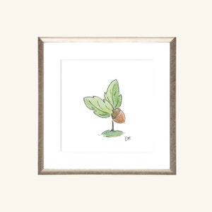 Puede incluir: Una pintura de acuarela de un pequeño brote verde con dos hojas que crecen de una bellota. La bellota es marrón y tiene una tapa marrón claro. El brote está creciendo de un pequeño parche de hierba verde. La pintura está firmada "EM" en la esquina inferior derecha.