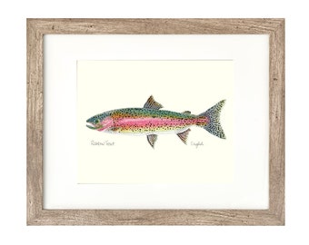 8x10 ニジマス、淡水魚、魚の絵、フライフィッシング、川魚、デジタル
