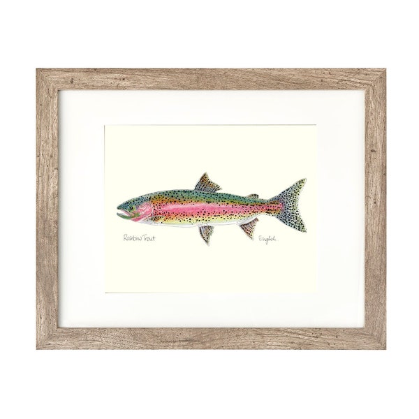 11x14 RAINBOW TROUT, Freshwater fish, fish painting, fly fishing, river fish, digital print, download, trout painting, 11x14, art print