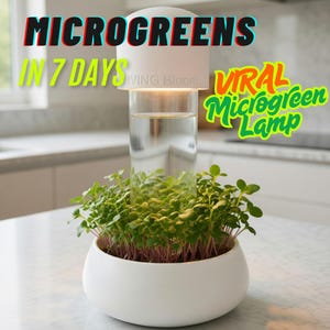 Pode incluir: Uma lâmpada branca para cultivo de microgreens com um cilindro de vidro transparente e uma base branca. A lâmpada está cultivando microgreens. O texto na imagem diz "MICROGREENS IN 7 DAYS" e "VIRAL Microgreen Lamp".