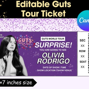 Pop Star Tour Ticket Template, Editable Concert Pass, Customizable Music Event Ticket, Printable Pop Concert Keepsake, Digital Download