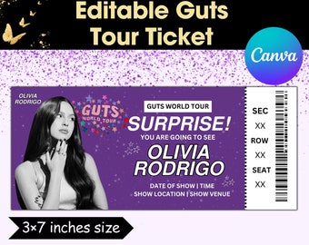 Pop Star Tour Ticket Template, Editable Concert Pass, Customizable Music Event Ticket, Printable Pop Concert Keepsake, Digital Download