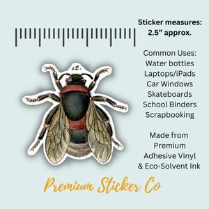 Bee Stickers | Water Bottle Sticker | Laptop Sticker | Tumbler Sticker | Tablet Sticker