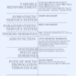 Pu&ograve; includere: Un grafico blu e bianco con il titolo "Mnemonics Psych Soc" e un elenco di termini e i loro corrispondenti mnemonici. I termini includono "Rinforzo variabile", "Sistema nervoso simpatico", "Sistema nervoso parasimpatico", "Ormoni tiroidei", "Funzione dell'ADH", "Ormoni dell'ipofisi posteriore", "Percorso di propagazione del suono attraverso l'orecchio" e "Meccanismo della glicina".