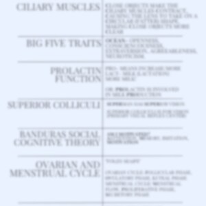 Pu&ograve; includere: Un grafico blu e bianco con il titolo "Mnemonics Psych Soc" e un elenco di termini e le loro corrispondenti mnemoniche. I termini includono "Ciliary Muscles", "Big Five Traits", "Prolactin Function", "Superior Colliculi", "Banduras Social Cognitive Theory", "Ovarian and Menstrual Cycle", "Stages of Fetal Development" e "Brain Sulcus (Fissures)".