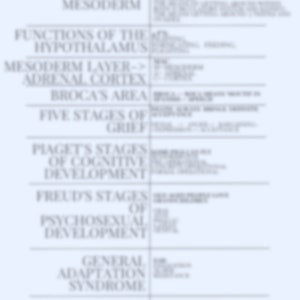 Pu&ograve; includere: Un grafico bianco e blu con il titolo "MNEMONICS PSYCH/SOC" e un elenco di termini e le loro corrispondenti mnemoniche. I termini includono "Mesoderma", "Funzioni dell'ipotalamo", "Strato mesodermico", "Corteccia surrenale", "Area di Broca", "Cinque stadi del dolore", "Stadi dello sviluppo cognitivo di Piaget", "Stadi dello sviluppo psicosessuale di Freud", "Sindrome generale di adattamento", "Emozioni universali" e "Ipotalamo laterale".
