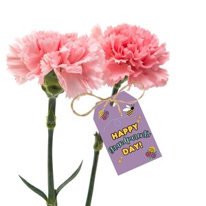 Può includere: Due garofani rosa con un cartellino regalo viola che dice "Happy Grandparents Day!" con un'ape e disegni floreali.