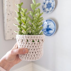 May include: A crocheted plant pot in a cream color with a green succulent plant inside. The pot has a decorative openwork pattern.