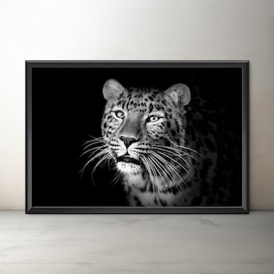 Amur Leopard Art, Leopard Photography, Leopard Portrait, Big Cat Photography, Leopard Wall Art, Black and White, Unframed Big Cat Home Decor