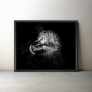 Black and White Amur Leopard Artwork, Big Cat Art, Unframed Giclée Leopard Print, Wildlife Photography Wall Art, Leopard Photography