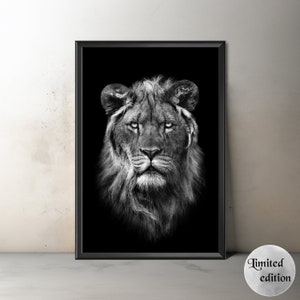 Lion Artwork, Unframed Lion Art, Limited Edition Lion Print, Original Fine Art Lion Photography, B&W Lion Photo, Wildlife Photography