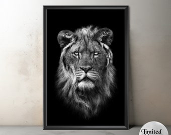 Lion Artwork, Unframed Lion Art, Limited Edition Lion Print, Original Fine Art Lion Photography, B&W Lion Photo, Wildlife Photography