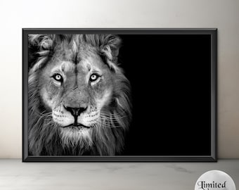 African Lion Art, Limited Edition Original Fine Art Lion Print, Unframed Lion Artwork, B&W Lion Photography, Big Cat Art, Animal Wall Art