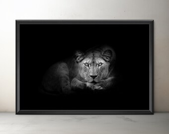 Löwin Fine Art, Löwe Giclée-Druck, ungerahmte Löwin Porträt Wandkunst, Schwarz-weiße Löwin, Raubkatzen, Wohnkultur, Tierfotografie