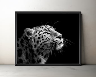 Amur Leopard Giclée Druck, Kunstfotografie, ungerahmt schwarz-weiß Feinkunst-Tierfotografie