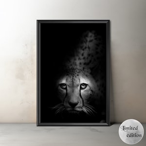 Cheetah Fine Art Print (unframed) , Cheetah Artwork, Cheetah Photography, Original Cheetah Wall Art, Big Cat Photography