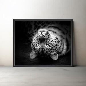 Fine Art Amur Leopard Print (unframed), Leopard Photography, Monochrome Leopard Artwork, Nature Wildlife Giclee Wall Art, Big Cat Lover Gift