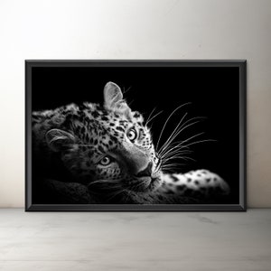 Amur Leopard Fine Art (unframed), Giclee Leopard Artwork, Leopard Photography Wall Art, Big Cat Print, Wildlife Photography