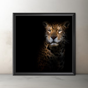 Jaguar Fine Art, Giclée Jaguar Print, Unframed Jaguar Portrait Wall Art, Jaguar Photography, Big Cat Print, Home decor, Wildlife Photography