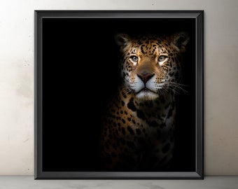 Jaguar Fine Art, Giclée Jaguar Print, Unframed Jaguar Portrait Wall Art, Jaguar Photography, Big Cat Print, Home decor, Wildlife Photography