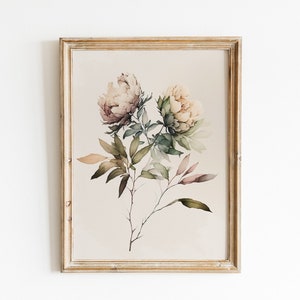 Minimalist Peonies in Muted Watercolors - Boho Floral Wall Art - Flower Print - Artwork - Soft Toned Wall Decor - Peonies Art Print