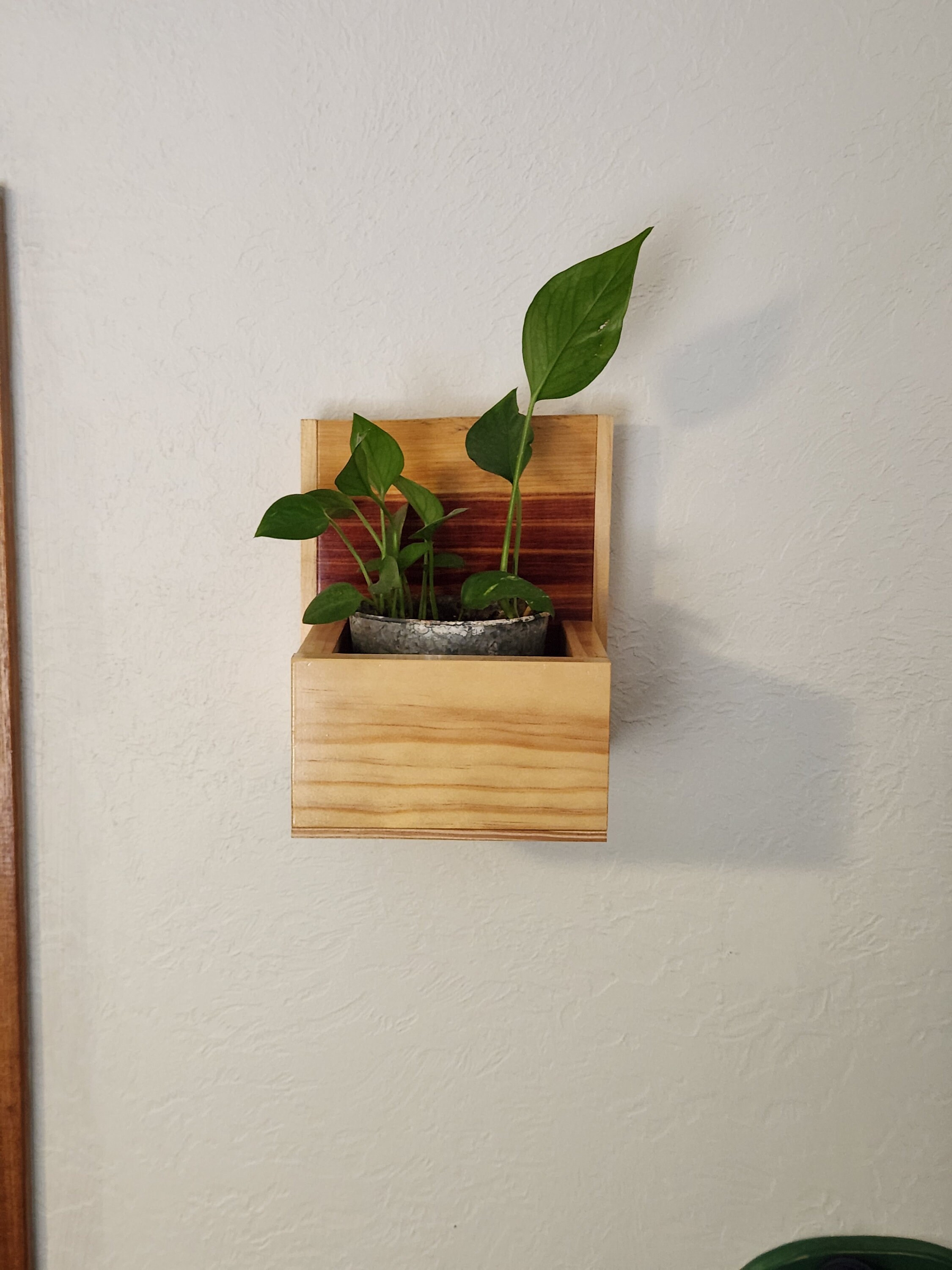 View of Wood Wall Planter Box - Etsy