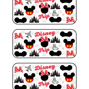 Mickey and Minnie Budget Envelope Insert Savings Challenge