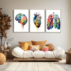 3 Piece Anatomical Art, Human Anatomy, Medical Art, Printable Wall Art for Clinic Decor, Anatomy Poster, Digital Art, Extra Large Wall Art