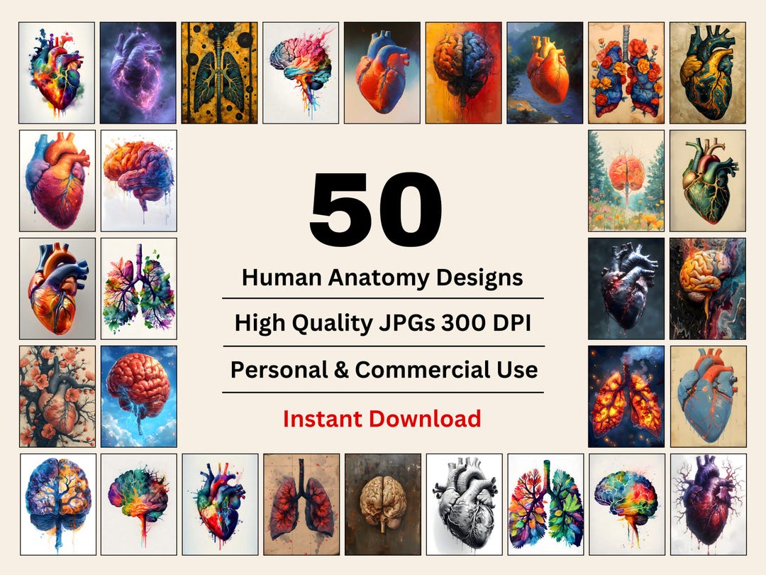 Anatomical Medical Art Bundle, Watercolor Human Anatomy Art, Gift for ...