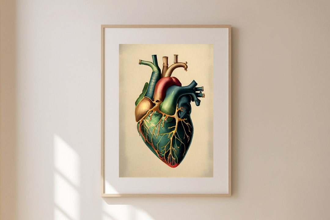 Anatomical Heart Art, Gift for Doctor, Medical Printable Wall Art ...