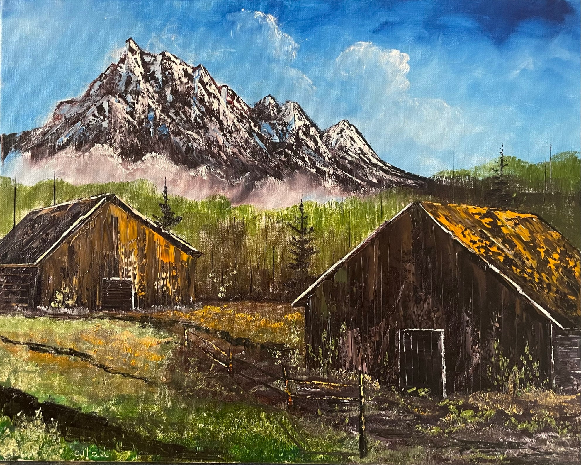 Barns in Spring - Etsy