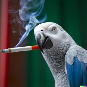 May include: A grey parrot with blue feathers holds a cigarette in its beak, with smoke rising from the end. The parrot has a serious expression on its face.