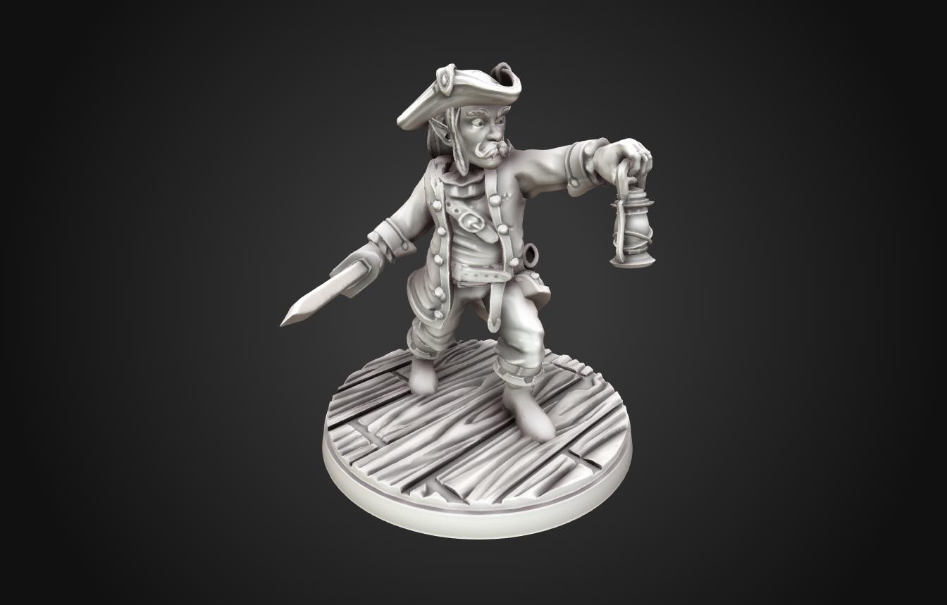 Gnome Pirate