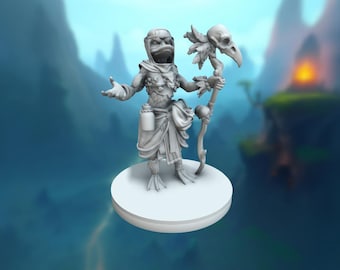 Duck Shaman- Durulz