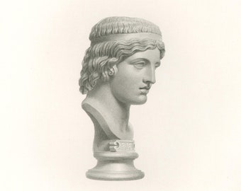 Bust of Bacchus 1856