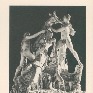Taureau Farnèse - Polonius et Tauriscus de Rhodis - Napoli Museo Nazionale