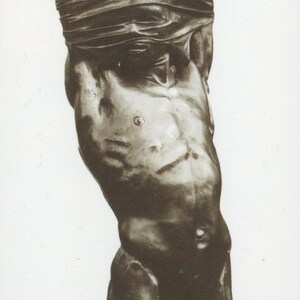Ian Rank Broadley - Narcisse noir